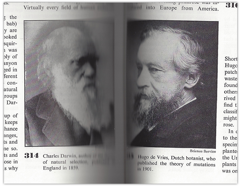 Darwin and De Vries